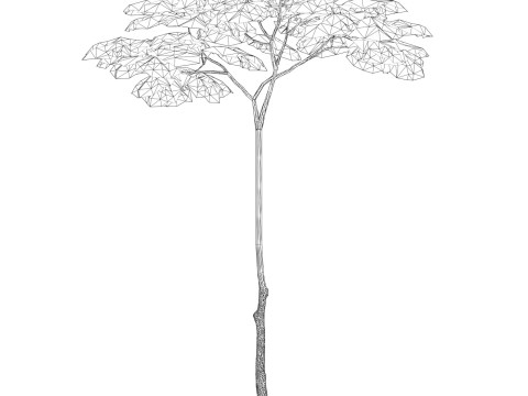 Game Ready Tree 16 3D 模型