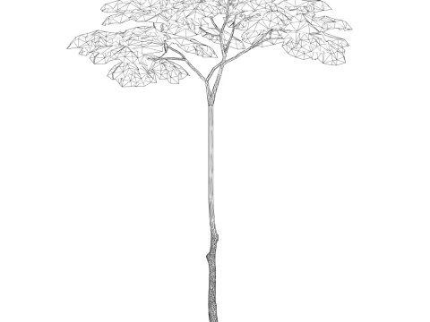 Game Ready Tree 16 3D Model