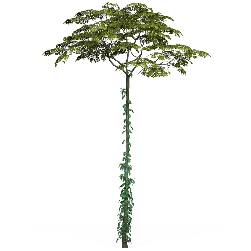 Game Ready Tree 17 3D Model .c4d .max .obj .3ds .fbx .stl .blend 