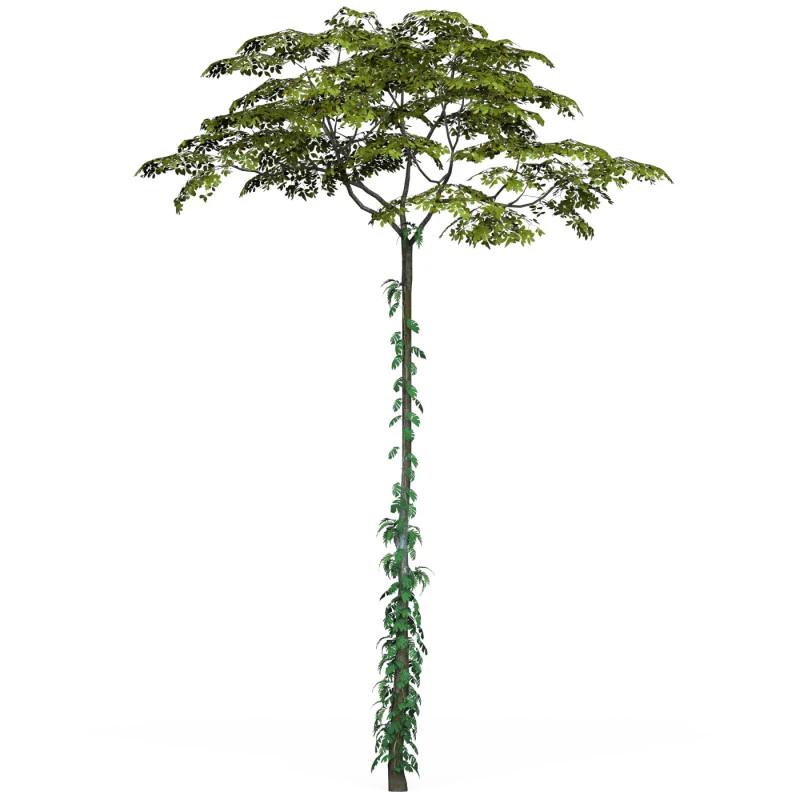 Game Ready Tree 17 3D Model .c4d .max .obj .3ds .fbx .stl .blend 