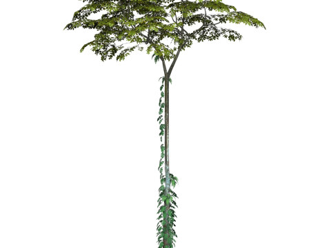 Game Ready Tree 17 3D Model