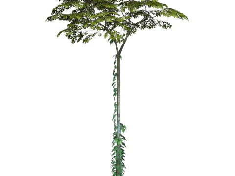 Game Ready Tree 17 3D Model