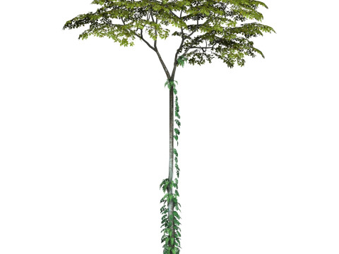 Game Ready Tree 17 3D Model
