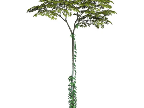 Game Ready Tree 17 3D Model