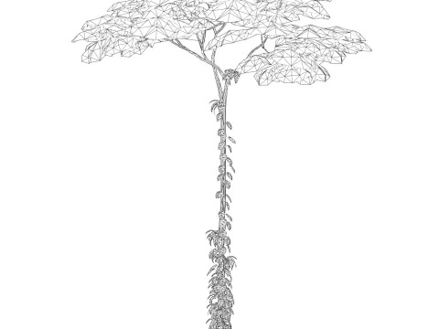 Game Ready Tree 17 3D Model