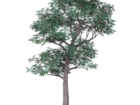 Game Ready Tree 18 3D मॉडल