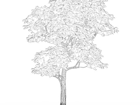 Game Ready Tree 18 3D Модель