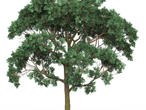 Game Ready Tree 20 3D मॉडल