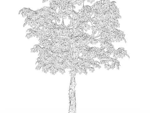 Game Ready Tree 21 3D Модель