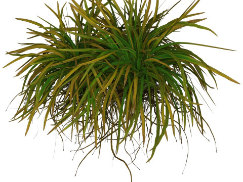 Game Ready Grass 01 3D Model