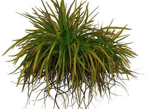Game Ready Grass 01 3D Model