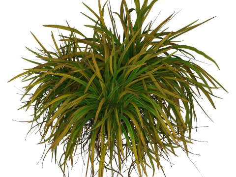 Game Ready Grass 01 3D Model