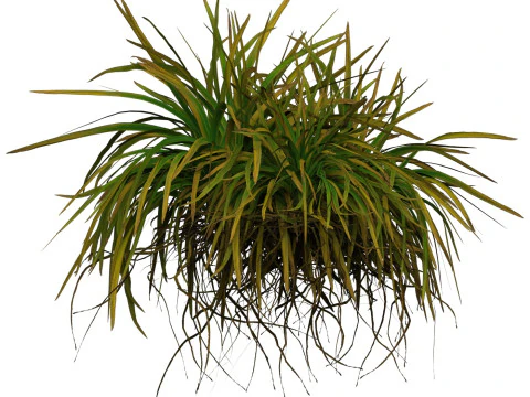 Game Ready Grass 01 3D Model