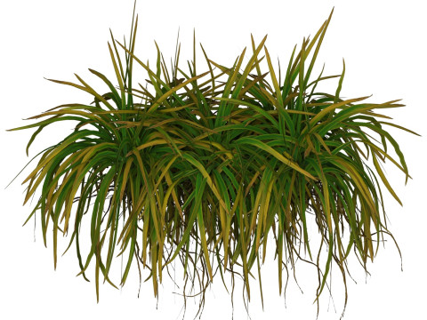 Game Ready Grass 02 3D Model