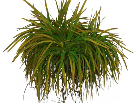 Game Ready Grass 02 3D Model