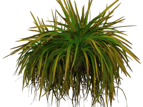 Game Ready Grass 02 3D Model