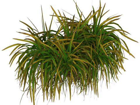 Game Ready Grass 02 3D Model