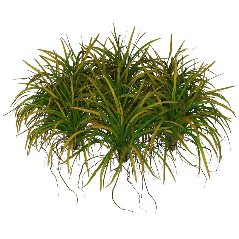 Game Ready Grass 03 3D Model .c4d .max .obj .3ds .fbx .stl .blend 