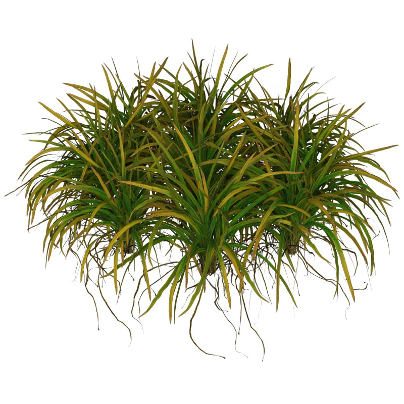 Game Ready Grass 03 3D Model .c4d .max .obj .3ds .fbx .stl .blend 