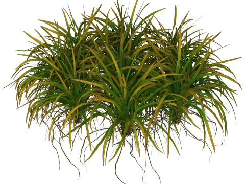 Game Ready Grass 03 3D Model