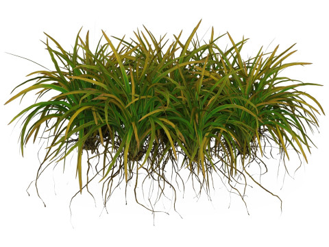 Game Ready Grass 03 3D Model
