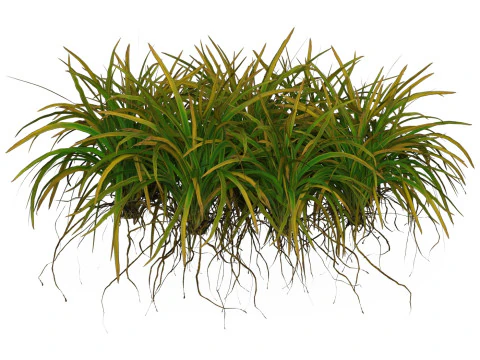 Game Ready Grass 03 3D Model