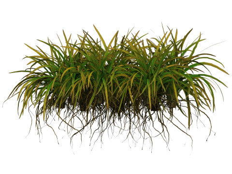 Game Ready Grass 03 3D Model