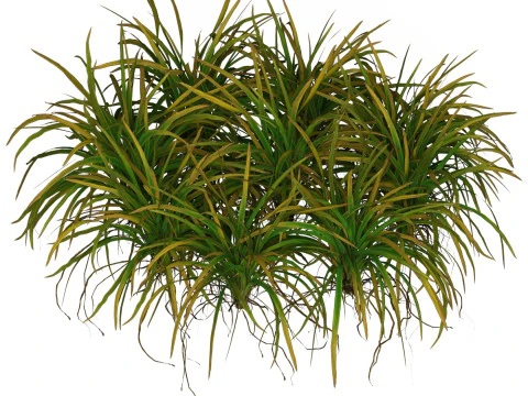 Game Ready Grass 03 3D Model