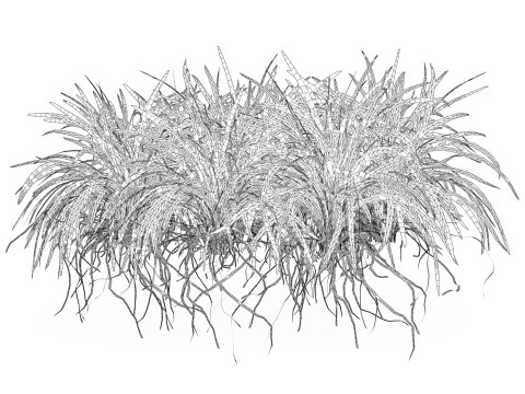 Game Ready Grass 03 3D Model