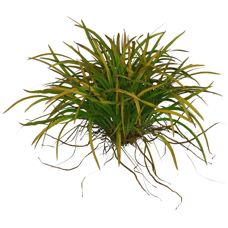 Game Ready Grass 04 3D Model .c4d .max .obj .3ds .fbx .stl .blend 