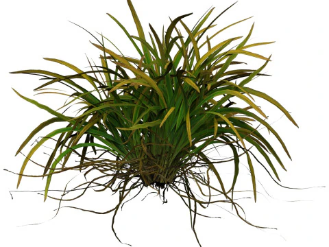 Game Ready Grass 04 3D Model