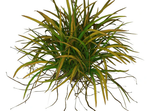 Game Ready Grass 04 3D Model