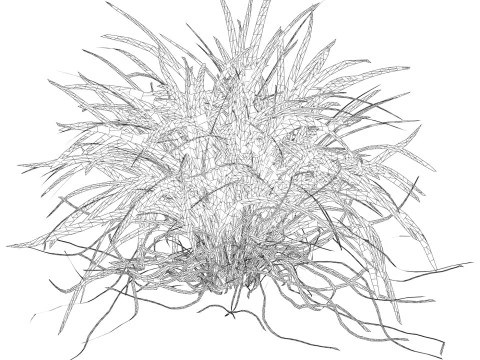 Game Ready Grass 04 3D Model