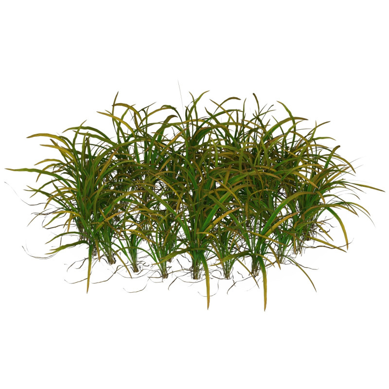 Game Ready Grass 05 3D Model .c4d .max .obj .3ds .fbx .stl .blend 