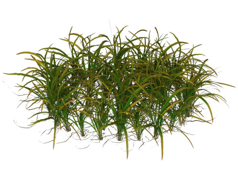 Game Ready Grass 05 3D Model