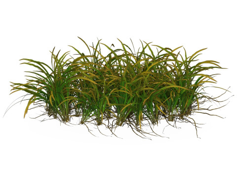 Game Ready Grass 05 3D Model