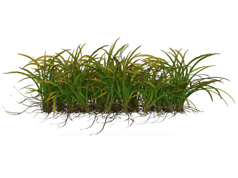 Game Ready Grass 05 3D Model