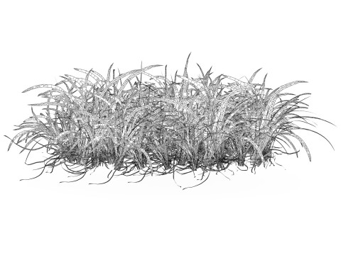 Game Ready Grass 05 3D Model