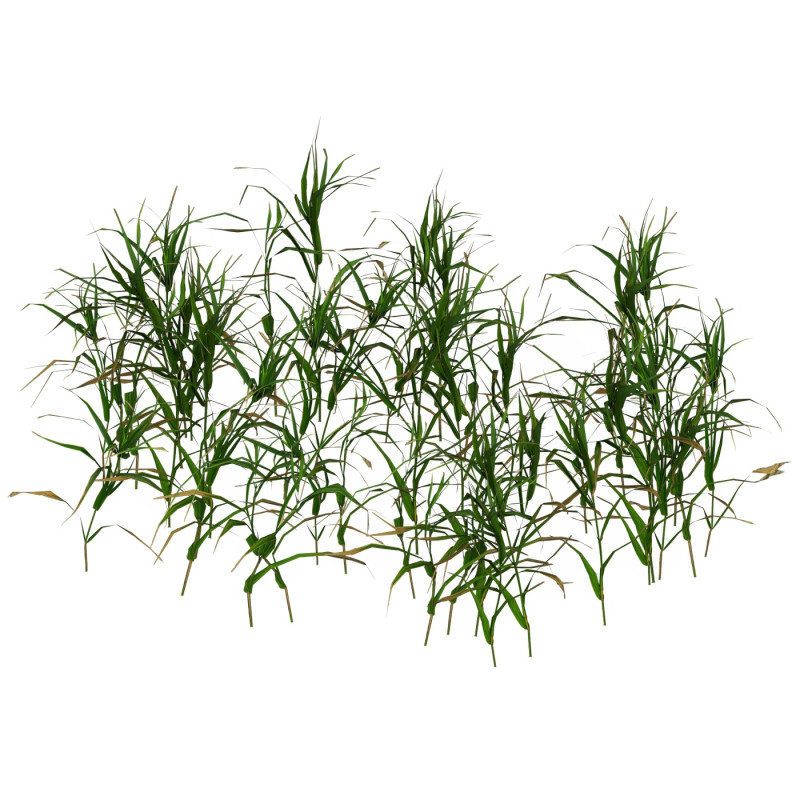 Game Ready Grass 06 3D मॉडल .c4d .max .obj .3ds .fbx .stl .blend 
