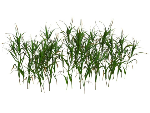 Jogo Pronto Grama 06 Modelo 3D