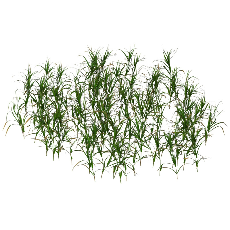 Game Ready Grass 07 3D 모델 .c4d .max .obj .3ds .fbx .stl .blend 