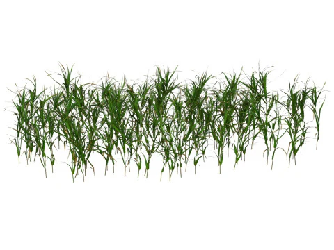 Game Ready Grass 07 3D Model