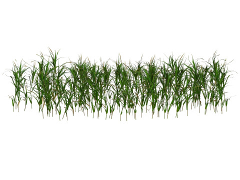 Game Ready Grass 07 3D 모델