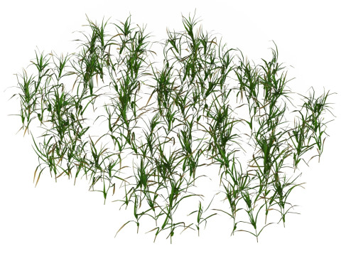 Game Ready Grass 07 3D 모델