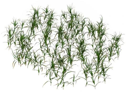 Game Ready Grass 07 3D Model