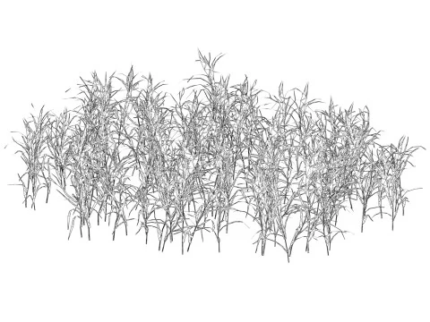 Game Ready Grass 07 3D Model