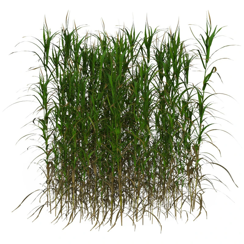 Game Ready Grass 08 3D Model .c4d .max .obj .3ds .fbx .stl .blend 