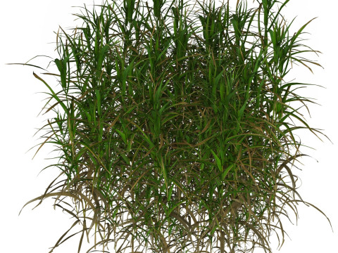 Game Ready Grass 08 3D Model