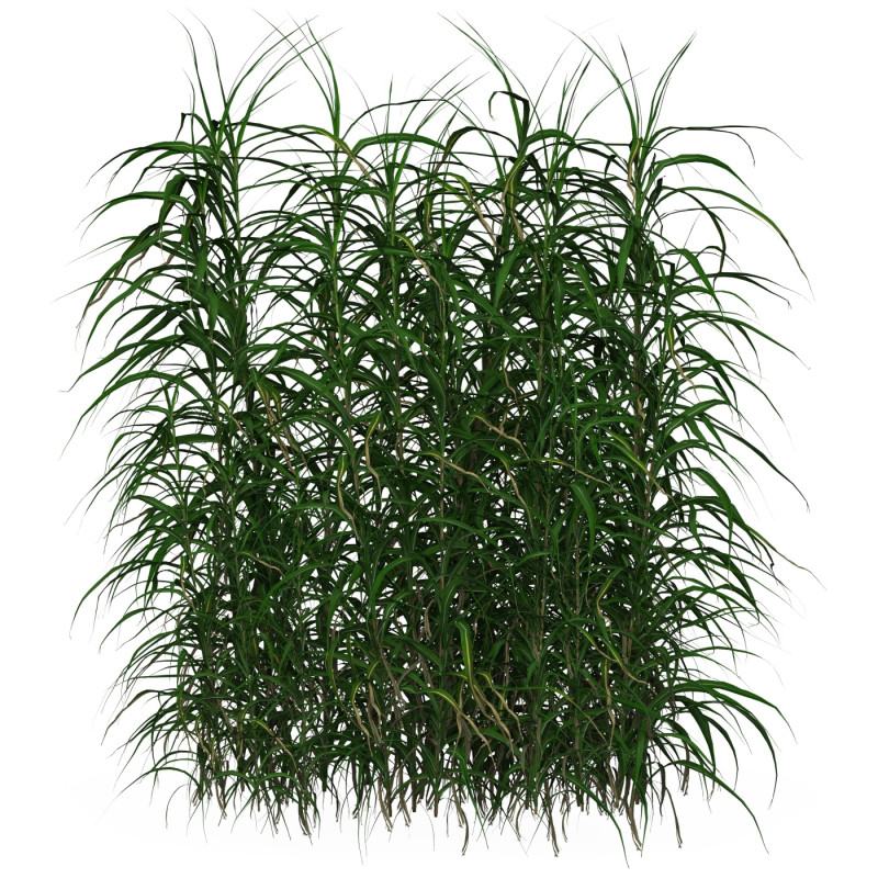 Game Ready Grass 09 3D Model .c4d .max .obj .3ds .fbx .stl .blend 