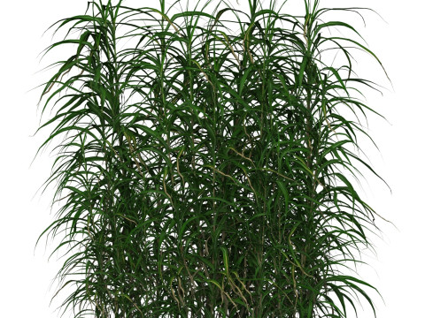 Game Ready Grass 09 3D Model